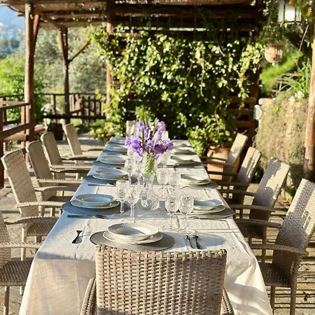 Casa Paloma Private * Cicerale